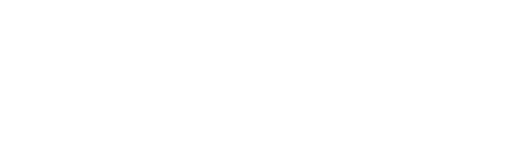 Momek Group